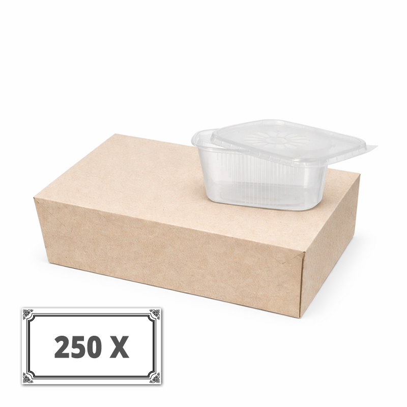 Verpackungsbecher 250 ml 250 x stück mit Deckel